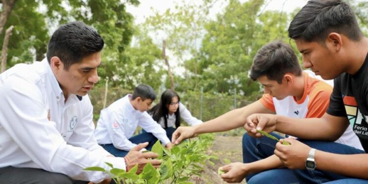 Prepara UAT la Semana de Sustentabilidad 2023