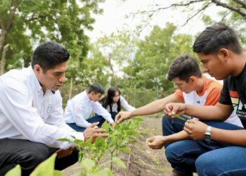 Impulsa la UAT sustentabilidad ambiental