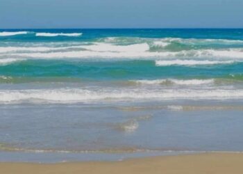 Playas de Tamaulipas obtienen resultados sin contaminantes según Cofepris