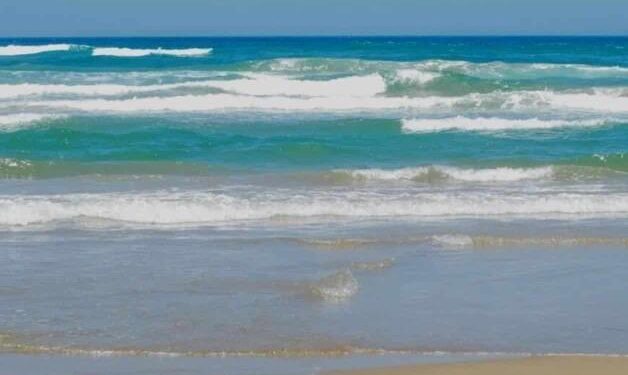 Playas de Tamaulipas obtienen resultados sin contaminantes según Cofepris