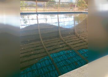 INDE, con aumento de presupuesto de 40%, deja en abandono y desuso la alberca de la Unidad Deportiva Siglo XXI