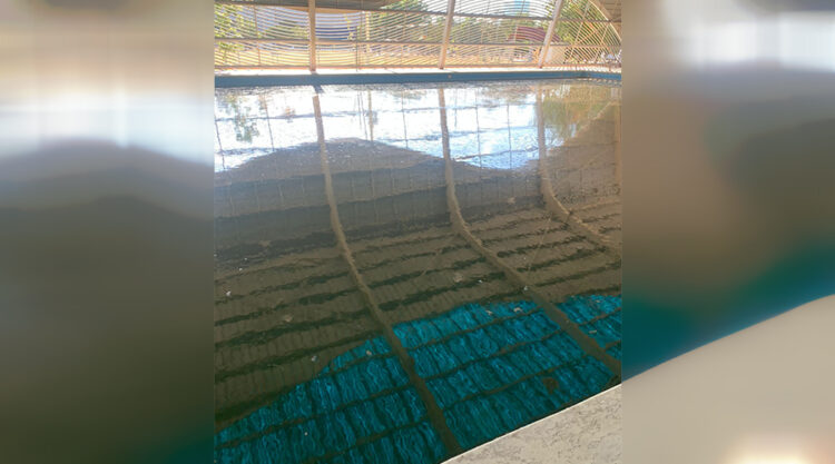 INDE, con aumento de presupuesto de 40%, deja en abandono y desuso la alberca de la Unidad Deportiva Siglo XXI