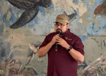 Más de 52 mil tortugas lora liberadas en Tamaulipas en la primera mitad del año