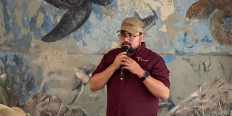 Más de 52 mil tortugas lora liberadas en Tamaulipas en la primera mitad del año
