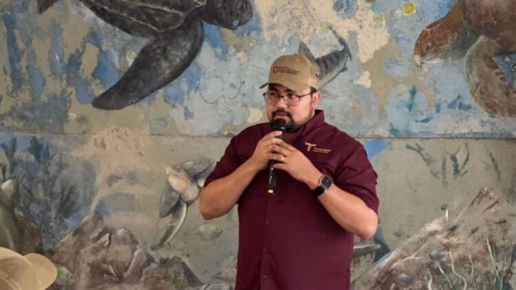 Más de 52 mil tortugas lora liberadas en Tamaulipas en la primera mitad del año