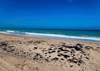 Equipo de Seduma y pemex inspecciona presencia de hidrocarburo en playas