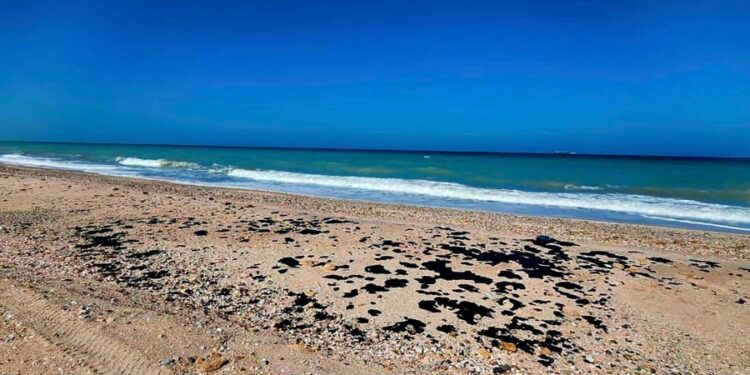 Equipo de Seduma y pemex inspecciona presencia de hidrocarburo en playas