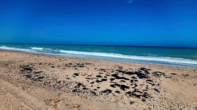 Equipo de Seduma y pemex inspecciona presencia de hidrocarburo en playas