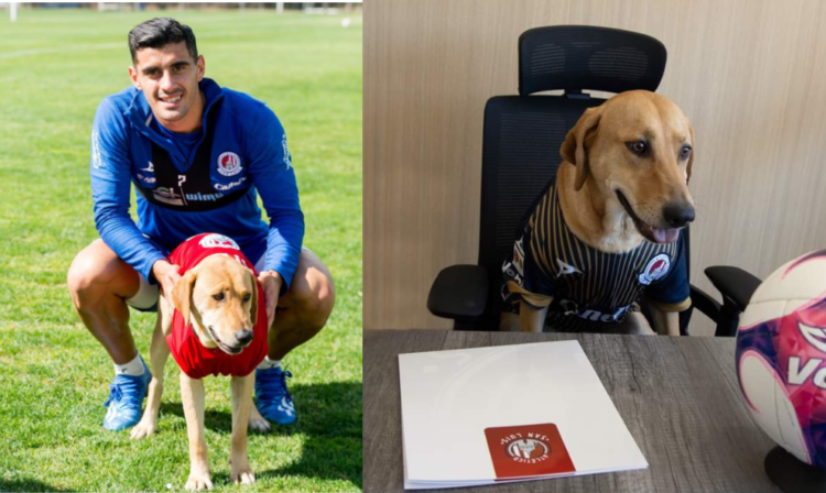 Tunita el amuleto de la suerte de ADSL contra Cruz Azul