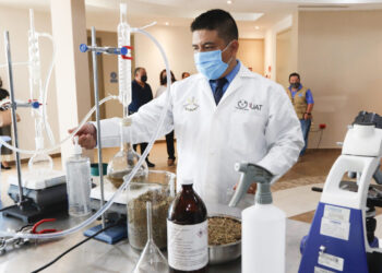 Destaca la UAT incremento de docentes en el Sistema Nacional de Investigadores