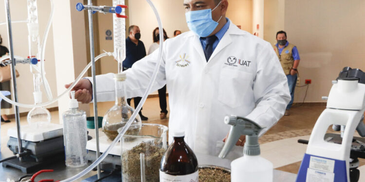 Destaca la UAT incremento de docentes en el Sistema Nacional de Investigadores