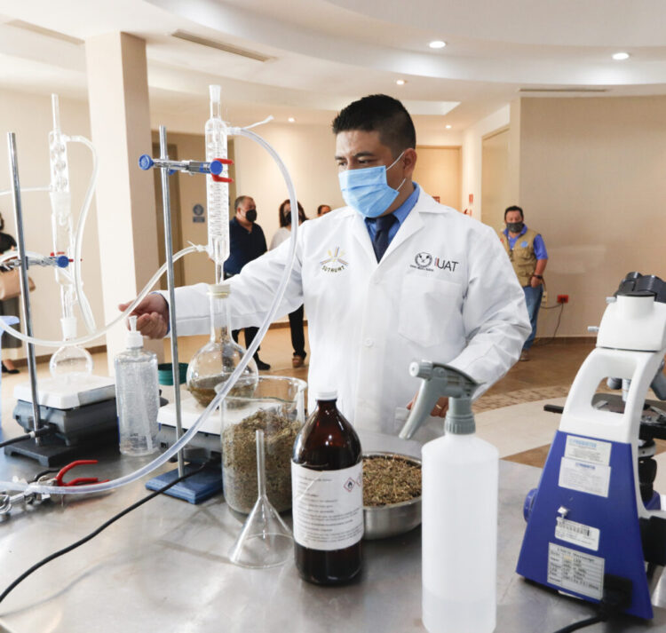 Destaca la UAT incremento de docentes en el Sistema Nacional de Investigadores