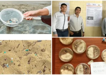 Desarrolla la UAT un proyecto para la elaboración de bioplásticos