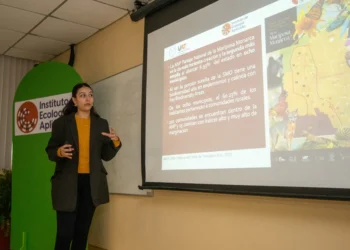 Realiza UAT estudios para proteger ruta migratoria de la mariposa monarca