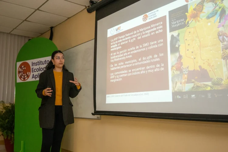 Realiza UAT estudios para proteger ruta migratoria de la mariposa monarca
