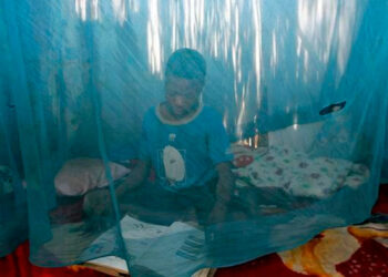 Humanidad puede perder la batalla contra la malaria: OMS