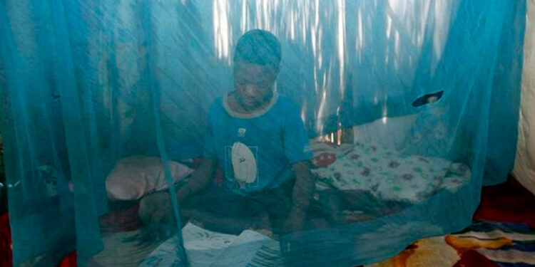 Humanidad puede perder la batalla contra la malaria: OMS