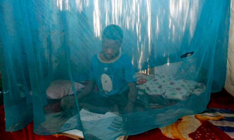 Humanidad puede perder la batalla contra la malaria: OMS