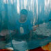 Humanidad puede perder la batalla contra la malaria: OMS