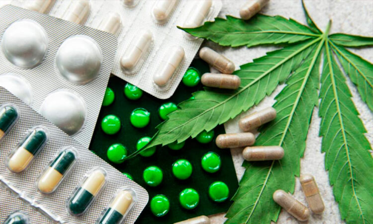 Japón legalizará medicamentos derivados de la marihuana