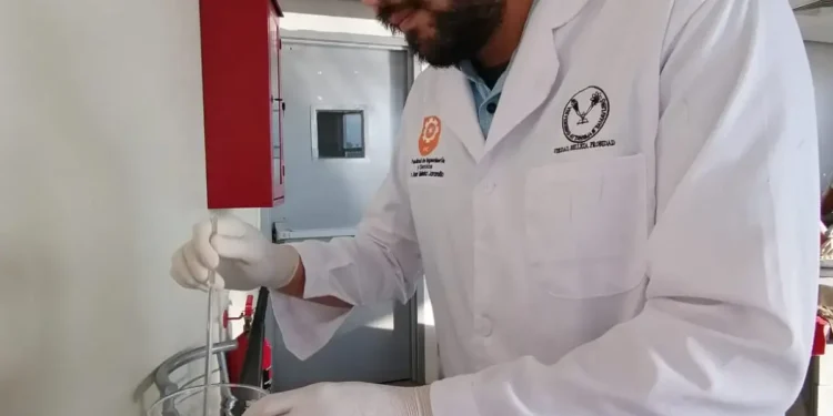Identifica UAT plantas con potencial bioinsecticida
