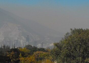 Estudio de la UAT revela impacto de urbanización y contaminación en la vegetación en México