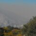 Estudio de la UAT revela impacto de urbanización y contaminación en la vegetación en México
