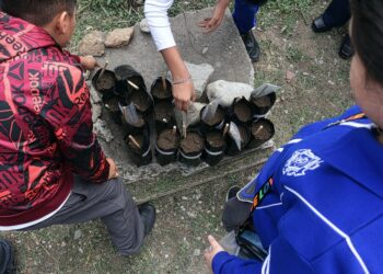 Inician niñas y niños travesía ambiental con Viveros Escolares