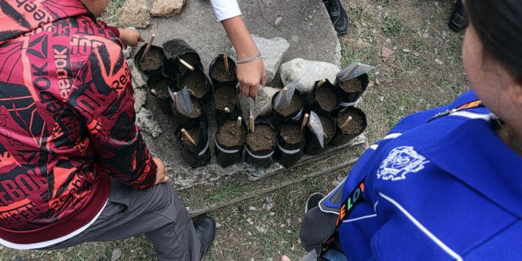 Inician niñas y niños travesía ambiental con Viveros Escolares
