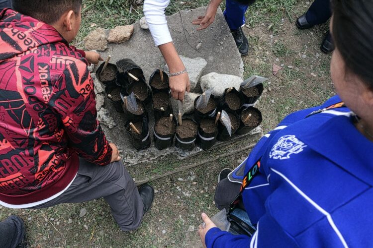 Inician niñas y niños travesía ambiental con Viveros Escolares