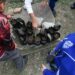Inician niñas y niños travesía ambiental con Viveros Escolares