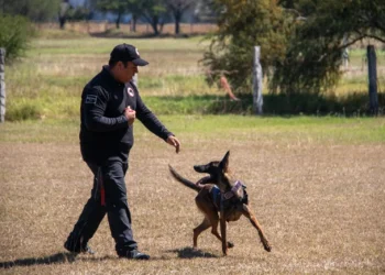 Estudiante de la UAT aporta su experiencia en adiestramiento canino al servicio comunitario