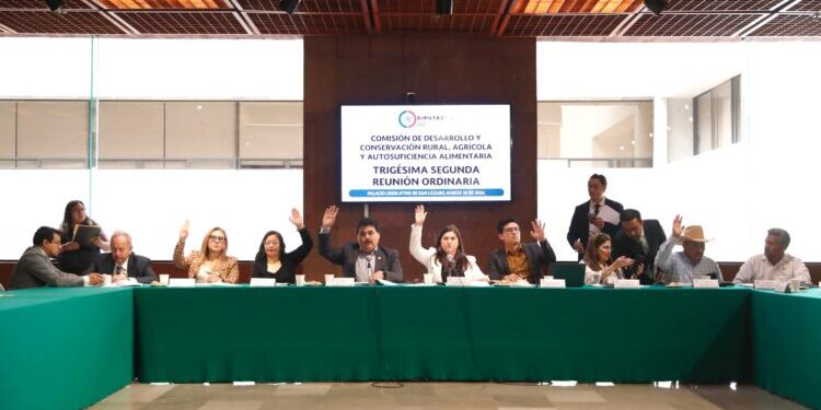 Aprueban Diputados exhorto a SADER para incluir  sorgo en Programa de Precios de Garantía