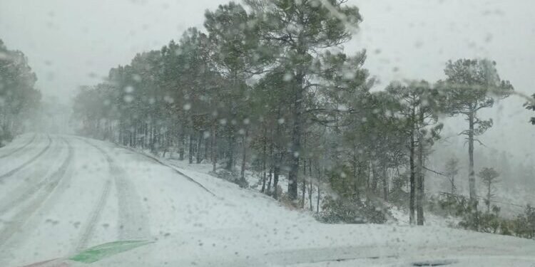 Reportan nevadas en diez municipios de la sierra de Chihuahua en plena primavera