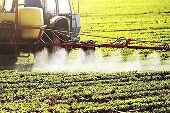 Autoriza gobierno de México siga uso de glifosato en control de malezas en agricultura
