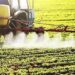 Autoriza gobierno de México siga uso de glifosato en control de malezas en agricultura