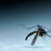 Brasil alcanza récord histórico de casos de dengue: más de 1,88 millones de contagios