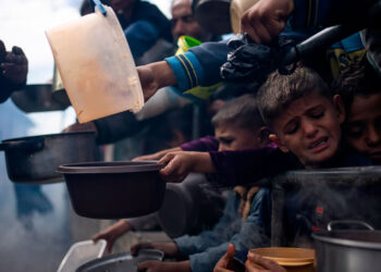 Alerta máxima por hambruna inminente en la Franja de Gaza: FAO y PMA exigen acceso urgente
