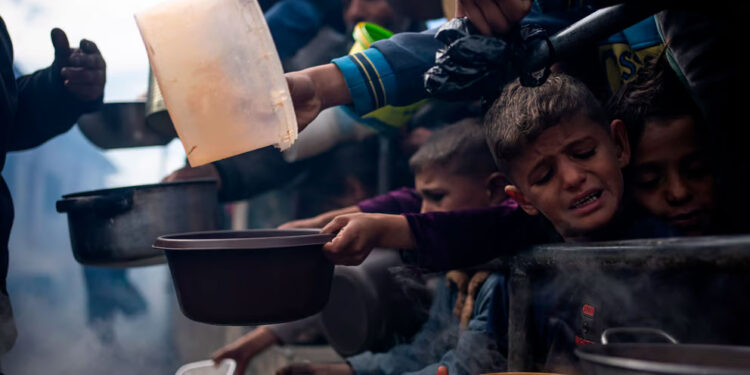 Alerta máxima por hambruna inminente en la Franja de Gaza: FAO y PMA exigen acceso urgente