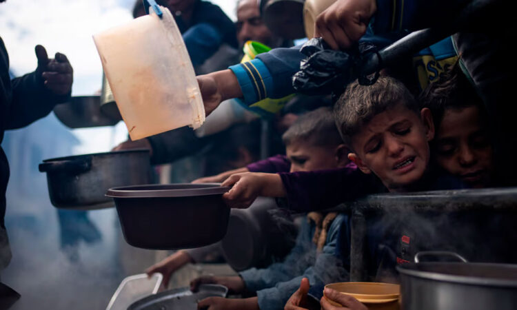 Alerta máxima por hambruna inminente en la Franja de Gaza: FAO y PMA exigen acceso urgente