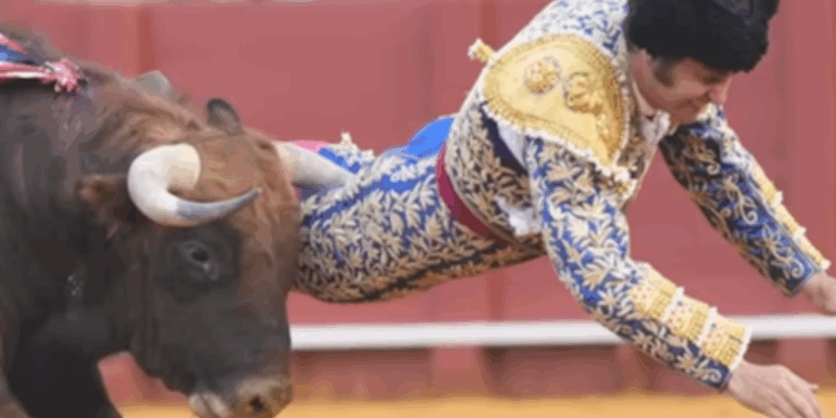 Sevilla en vilo: Morante y Roca Rey, heridos de gravedad. La línea entre la gloria y la tragedia se rompe en segundos