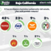 Ganaría Morena gubernaturas en Baja California, Colima, Guerrero y Tlaxcala, pronostica la casa encuestadora Electoralia