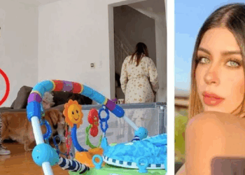 Busca la Interpol a suegra de ex reina de belleza asesinada en Polanco