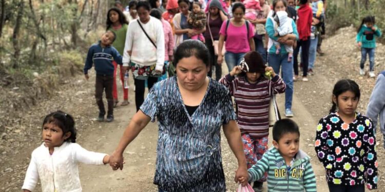 Agobiados por la delincuencia familias abandonan sus tierras en Chilapa, Guerrero