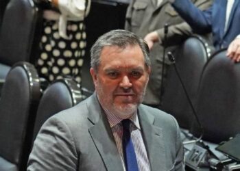 División en la Cámara de Diputados por Comisión para verificar candidaturas