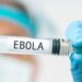 OMS declara alerta internacional por brote de Ebola en el Congo y Uganda