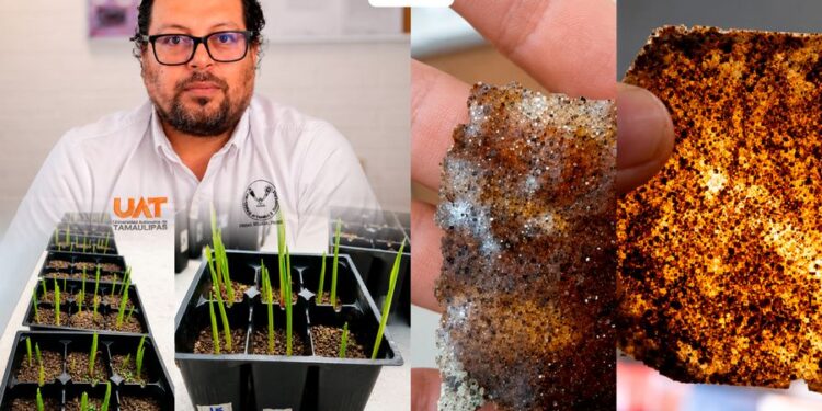 Patenta la UAT bioplásticos que recuperan suelos erosionados