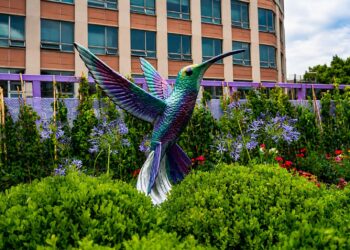 La Ciudad de México ya tiene su jardín flotante