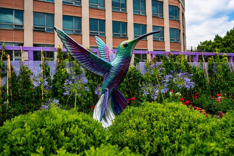 La Ciudad de México ya tiene su jardín flotante