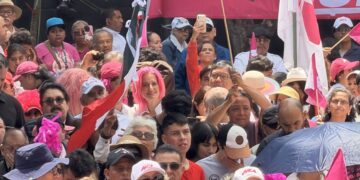 Separar al gobierno del crimen, ofrece nuevo partido Somos México